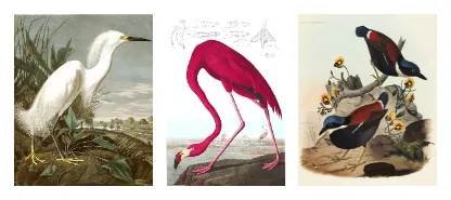 Canvas print wall displays - Package 2